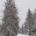 Načítavam...