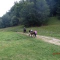 Načítavam...