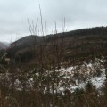 Načítavam...